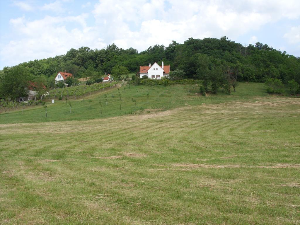 Tik Hegyi Haz Villa Monoszlo Exterior photo